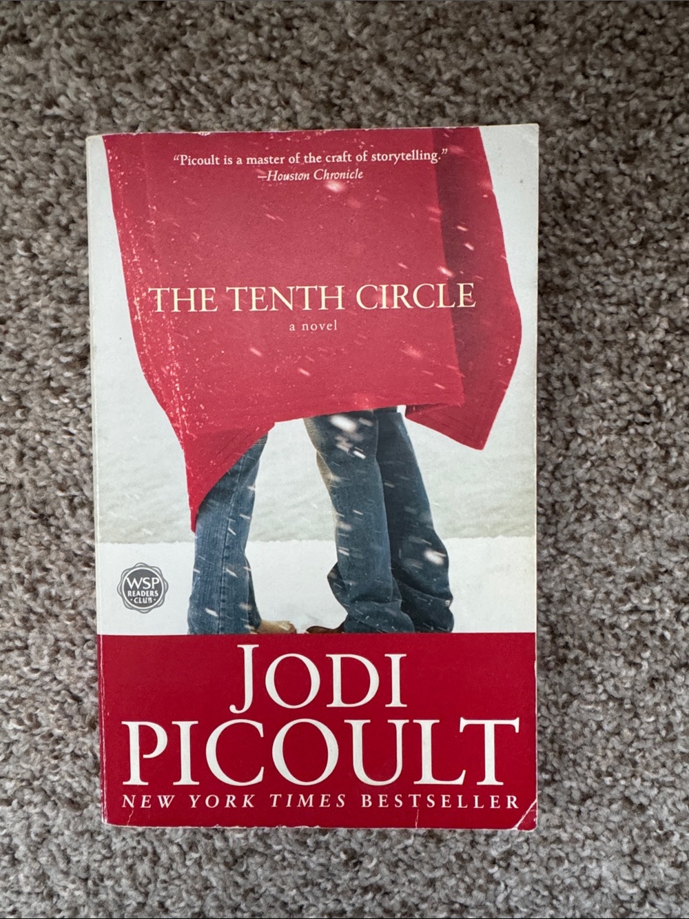 The Tenth Circle by Jodi Picoult